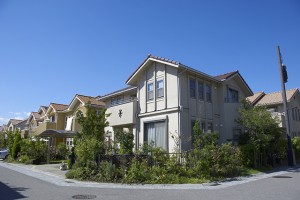 flow_img005